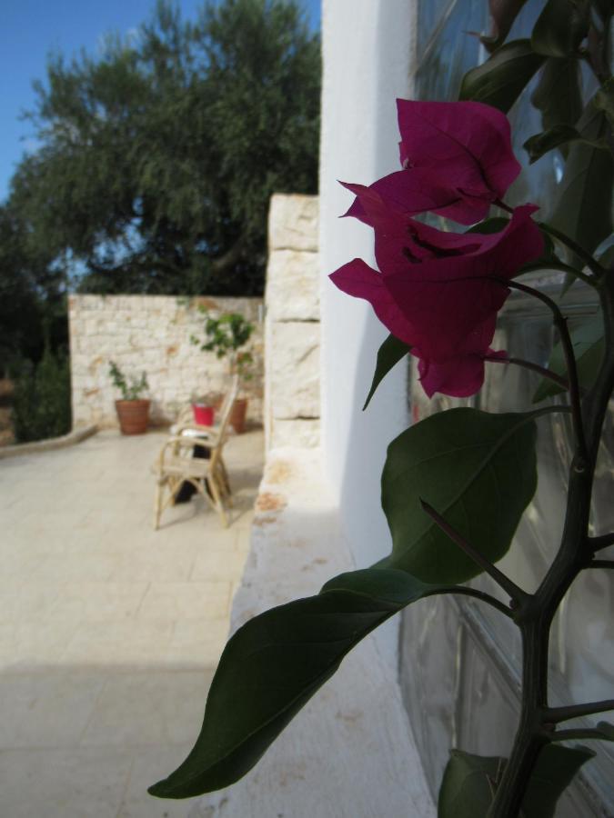 Casa Ale & Vinci Villa Monopoli Exteriör bild