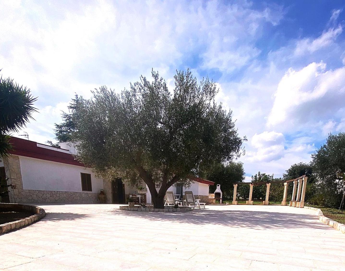 Casa Ale & Vinci Villa Monopoli Exteriör bild