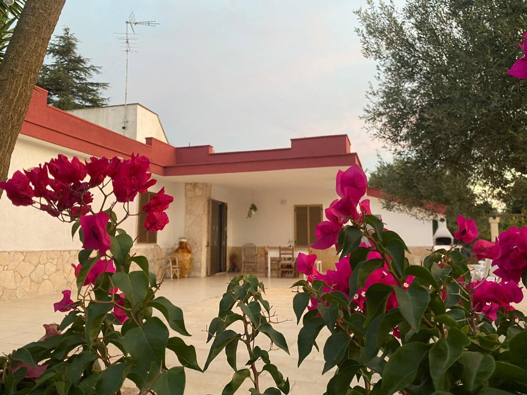 Casa Ale & Vinci Villa Monopoli Exteriör bild